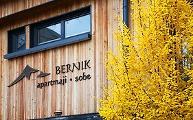 Apartments&Rooms Bernik